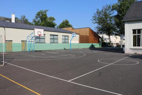 Terrain de basket
