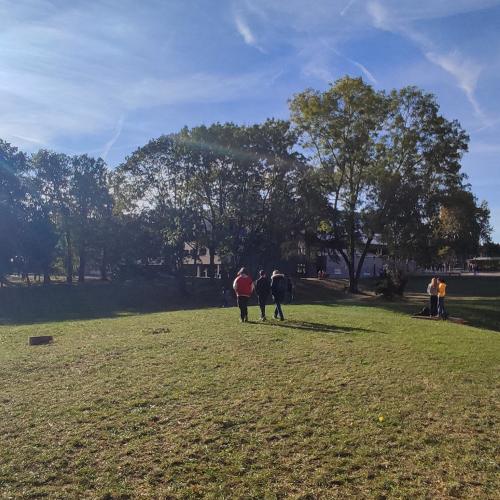 Le parc de l'Institut.