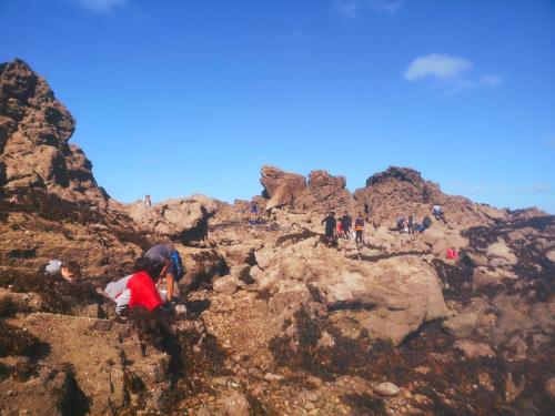 sejours-integration-sixieme-12