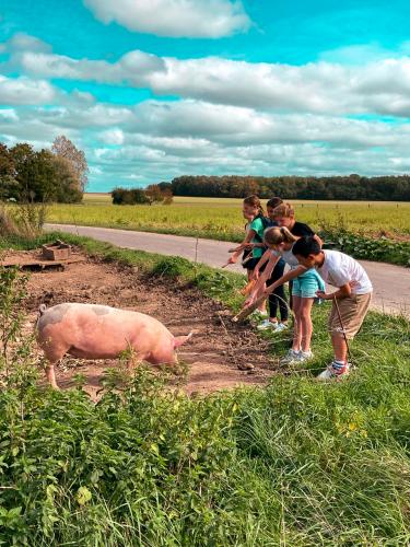 sejours-integration-sixieme-16