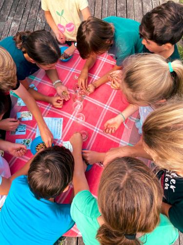 sejours-integration-sixieme-17