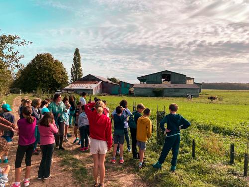 sejours-integration-sixieme-18