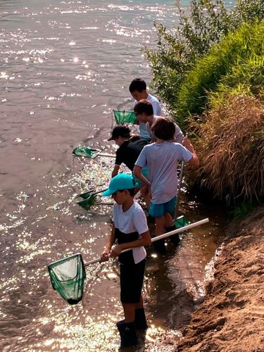 sejours-integration-sixieme-23