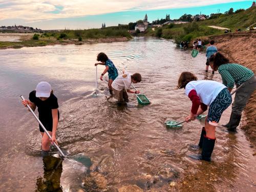 sejours-integration-sixieme-24