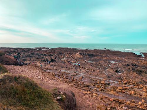 sejours-integration-sixieme-42