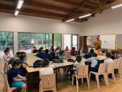 sejours-integration-sixieme-43