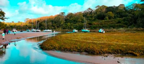 sejours-integration-sixieme-49