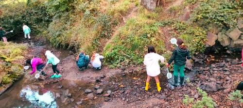 sejours-integration-sixieme-51