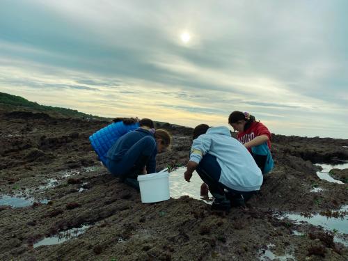sejours-integration-sixieme-54