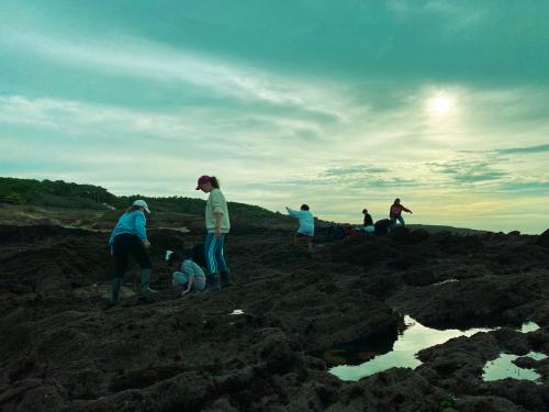 sejours-integration-sixieme-55