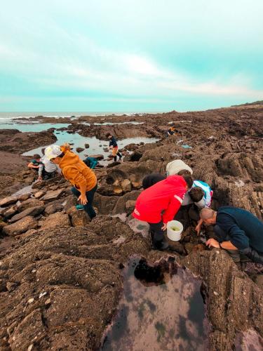 sejours-integration-sixieme-57