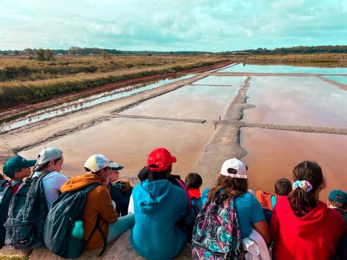 sejours-integration-sixieme-59